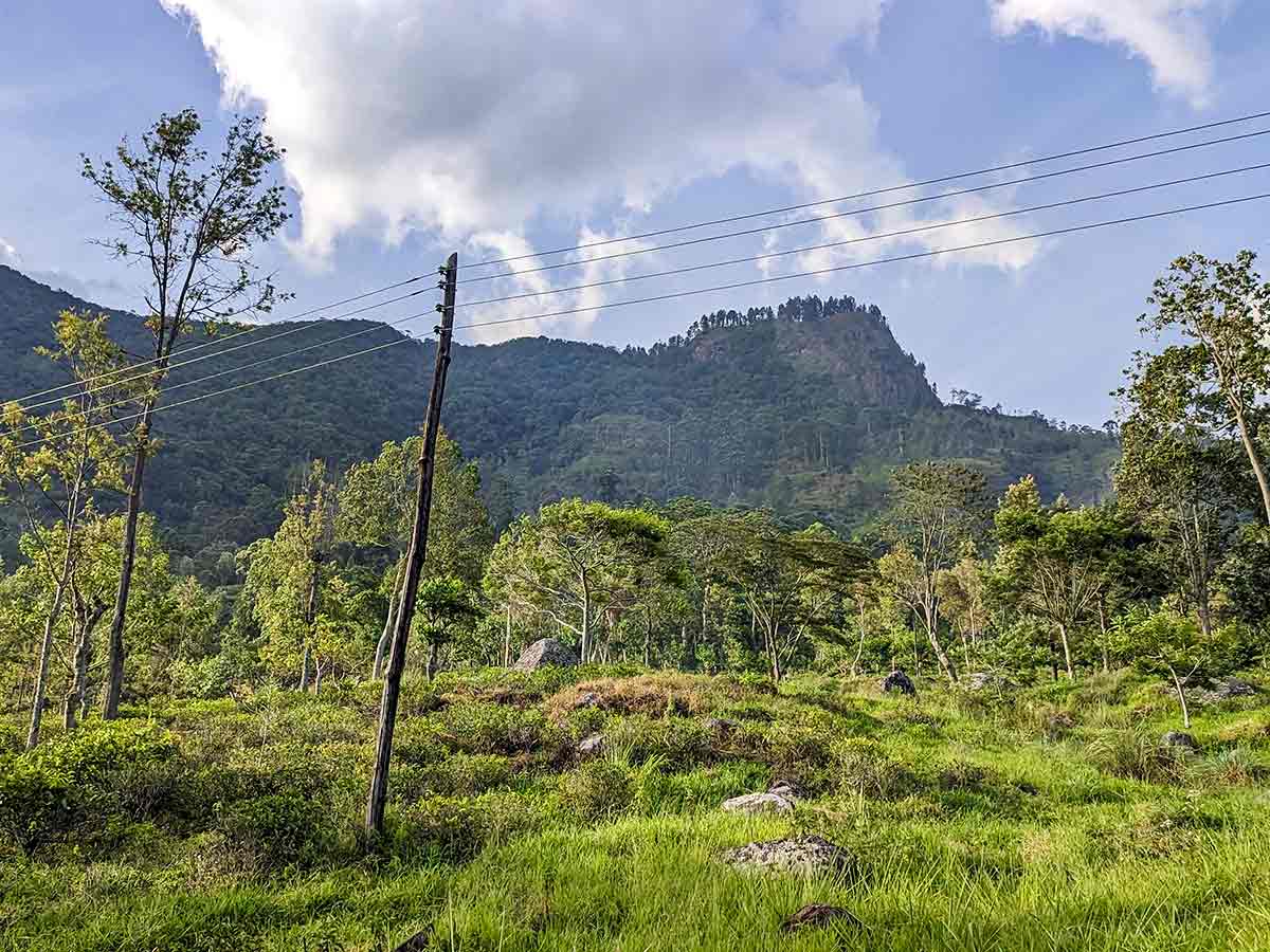 Railway track section along Idalgashinna hike