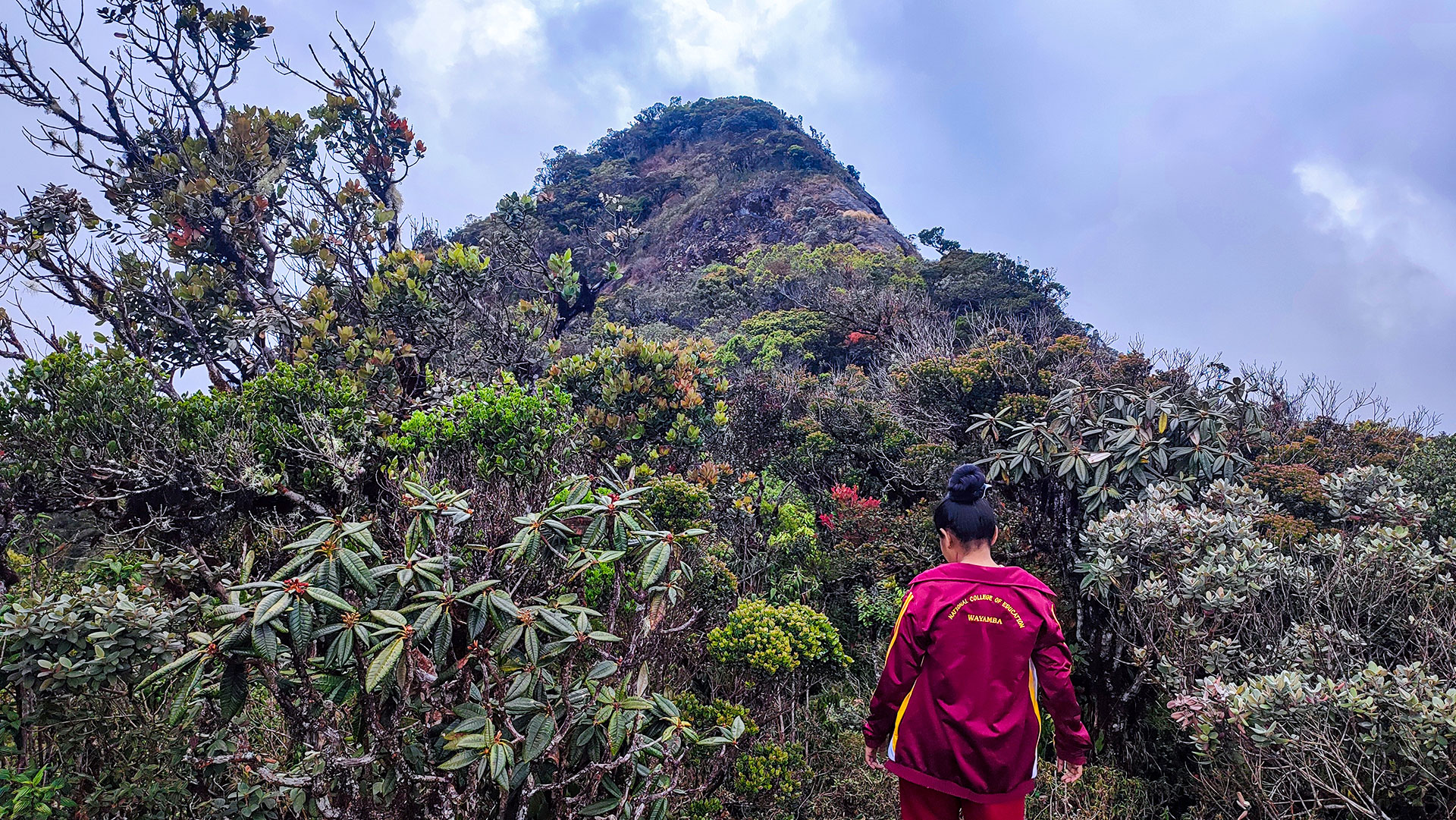 Kirigalpoththa summit in Horton Plains National Park