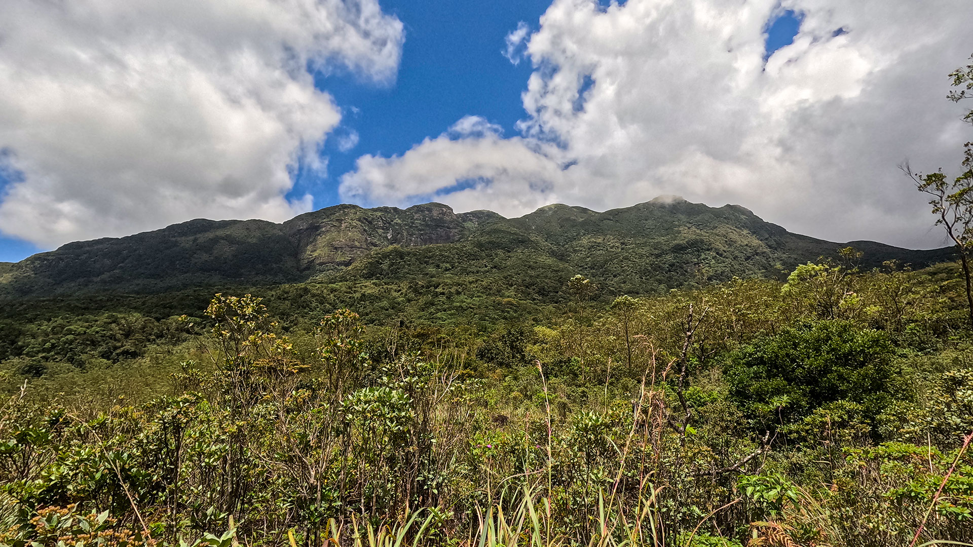 Knuckles 05 Peak viewed from Bambarella trail