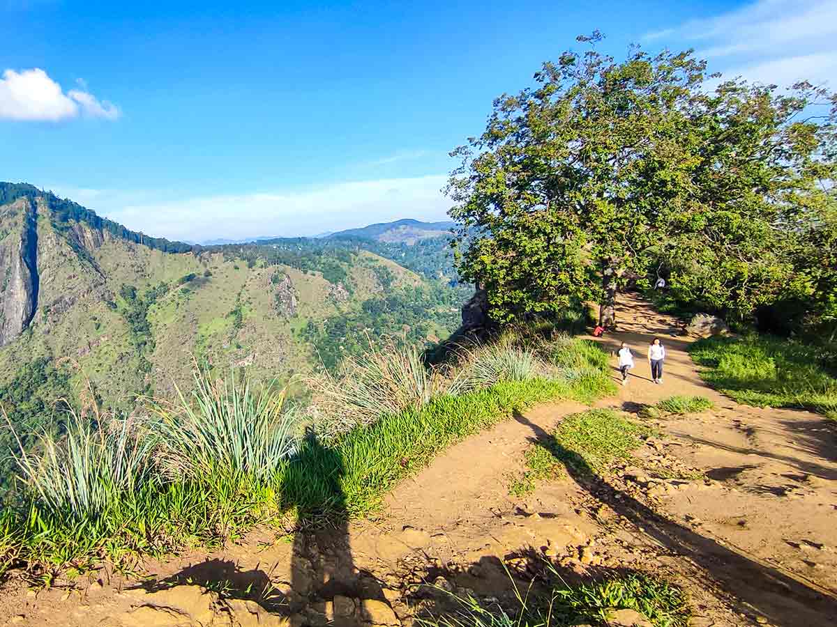Steps leading up to Little Adam's Peak summit
