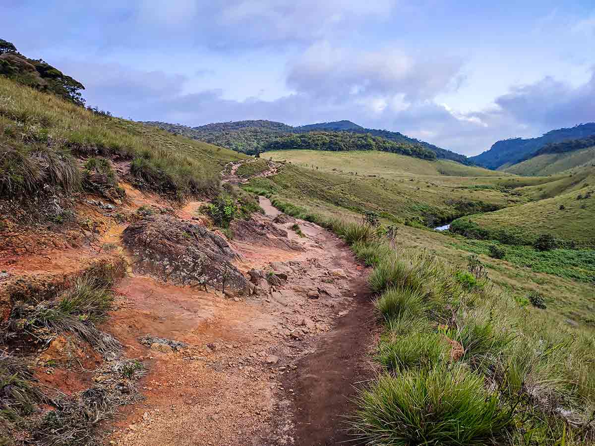 Horton Plains Trail showing montane cloud forest and patana grassland