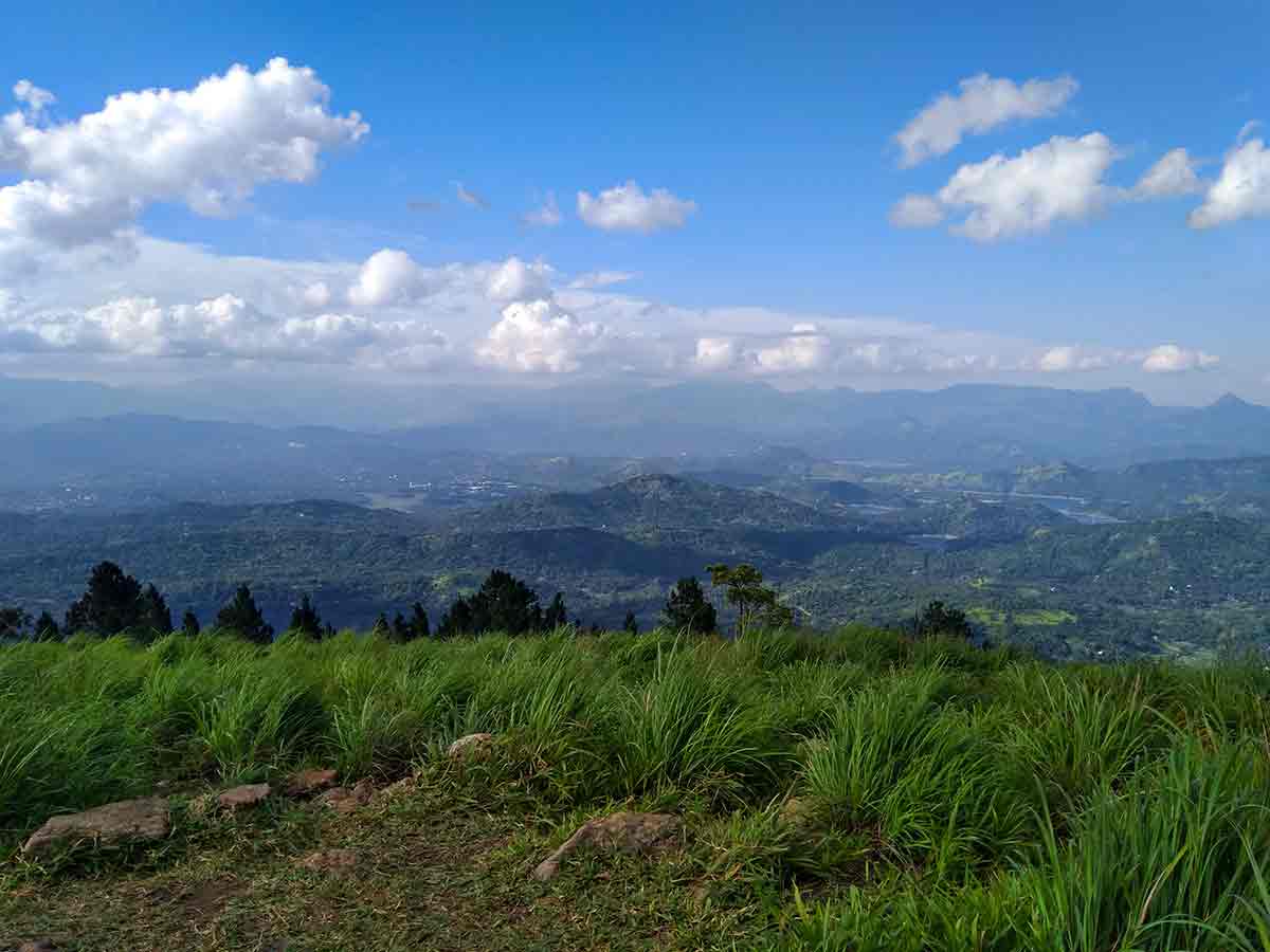 Layered wooded hills and rural valleys seen from the grassy Bellwood Viewpoint ridge