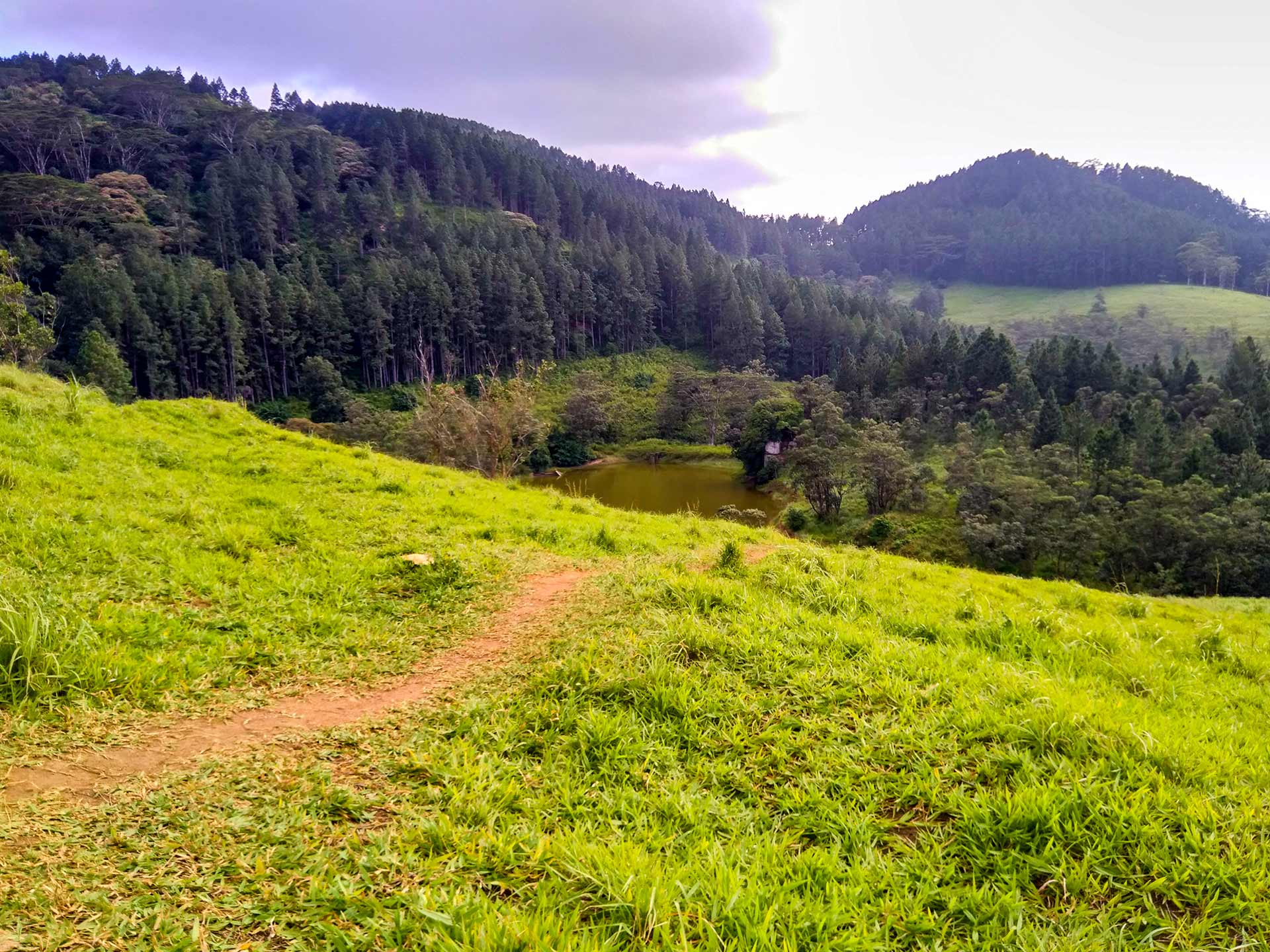 Muthukelina Wewa below the grassy Bellwood observation ridge in Kandy District