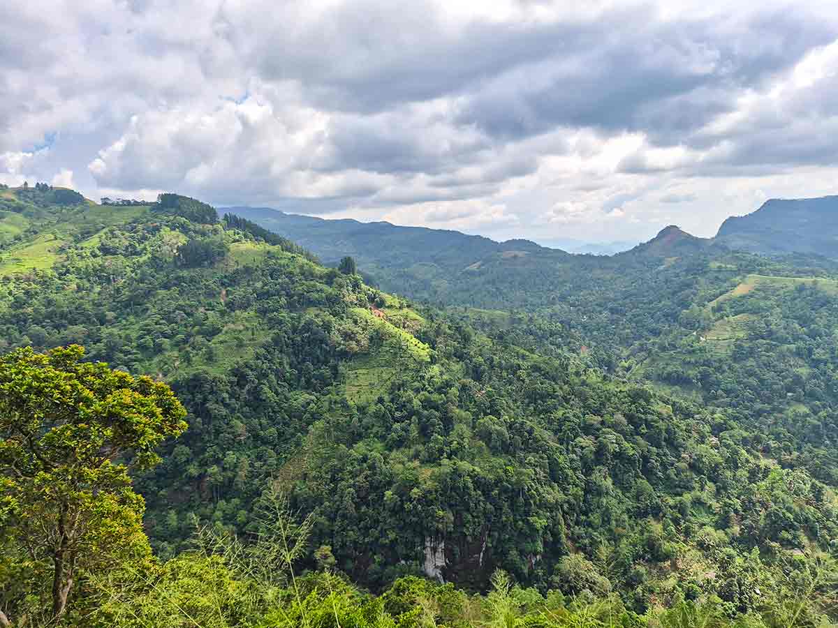 Misty valley view at Palampitiya viewpoint